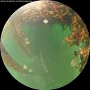 ./images/calvert/underwater/20260710/underwater20260710_063501M.jpg