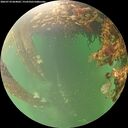 ./images/calvert/underwater/20260710/underwater20260710_064002M.jpg