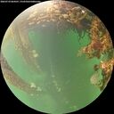 ./images/calvert/underwater/20260710/underwater20260710_064501M.jpg