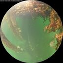 ./images/calvert/underwater/20260710/underwater20260710_065001M.jpg
