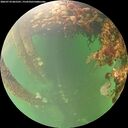 ./images/calvert/underwater/20260710/underwater20260710_065501M.jpg