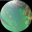 ./images/calvert/underwater/20260710/underwater20260710_071502M.jpg