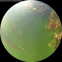 ./images/calvert/underwater/20260710/underwater20260710_073501M.jpg