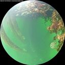 ./images/calvert/underwater/20260710/underwater20260710_094501M.jpg