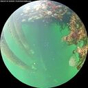 ./images/calvert/underwater/20260710/underwater20260710_102001M.jpg