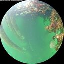 ./images/calvert/underwater/20260710/underwater20260710_102501M.jpg