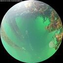 ./images/calvert/underwater/20260710/underwater20260710_111501M.jpg