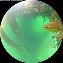./images/calvert/underwater/20260710/underwater20260710_120501M.jpg