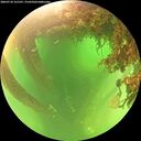 ./images/calvert/underwater/20260710/underwater20260710_121501M.jpg