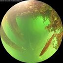 ./images/calvert/underwater/20260710/underwater20260710_123501M.jpg