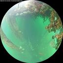 ./images/calvert/underwater/20260710/underwater20260710_135502M.jpg