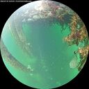 ./images/calvert/underwater/20260710/underwater20260710_142501M.jpg