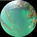 ./images/calvert/underwater/20260710/underwater20260710_143501M.jpg