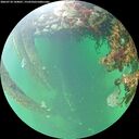 ./images/calvert/underwater/20260710/underwater20260710_144001M.jpg