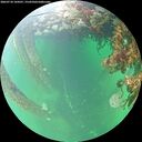 ./images/calvert/underwater/20260710/underwater20260710_144501M.jpg