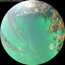 ./images/calvert/underwater/20260710/underwater20260710_150501M.jpg