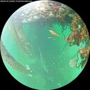 ./images/calvert/underwater/20260710/underwater20260710_152002M.jpg