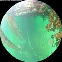 ./images/calvert/underwater/20260710/underwater20260710_153501M.jpg