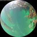 ./images/calvert/underwater/20260710/underwater20260710_164501M.jpg