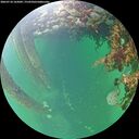 ./images/calvert/underwater/20260710/underwater20260710_165001M.jpg