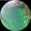 ./images/calvert/underwater/20260710/underwater20260710_165501M.jpg