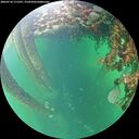 ./images/calvert/underwater/20260710/underwater20260710_171501M.jpg
