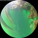 ./images/calvert/underwater/20260710/underwater20260710_181001M.jpg