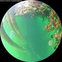 ./images/calvert/underwater/20260710/underwater20260710_183501M.jpg