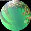 ./images/calvert/underwater/20260710/underwater20260710_184001M.jpg