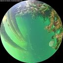 ./images/calvert/underwater/20260710/underwater20260710_190501M.jpg