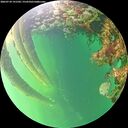 ./images/calvert/underwater/20260710/underwater20260710_191502M.jpg