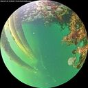 ./images/calvert/underwater/20260710/underwater20260710_193002M.jpg