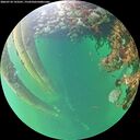 ./images/calvert/underwater/20260710/underwater20260710_193501M.jpg
