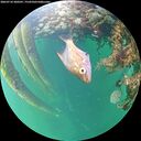 ./images/calvert/underwater/20260710/underwater20260710_200501M.jpg