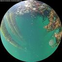 ./images/calvert/underwater/20260710/underwater20260710_203501M.jpg