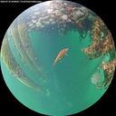 ./images/calvert/underwater/20260710/underwater20260710_204001M.jpg