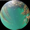 ./images/calvert/underwater/20260710/underwater20260710_205502M.jpg