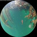 ./images/calvert/underwater/20260710/underwater20260710_211001M.jpg