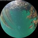 ./images/calvert/underwater/20260710/underwater20260710_212501M.jpg