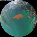 ./images/calvert/underwater/20260710/underwater20260710_213501M.jpg
