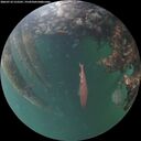./images/calvert/underwater/20260710/underwater20260710_215501M.jpg