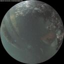 ./images/calvert/underwater/20260710/underwater20260710_221501M.jpg