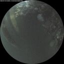 ./images/calvert/underwater/20260710/underwater20260710_222001M.jpg
