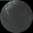 ./images/calvert/underwater/20260710/underwater20260710_222501M.jpg