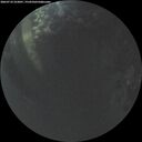 ./images/calvert/underwater/20260710/underwater20260710_223001M.jpg