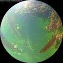 ./images/calvert/underwater/20260711/underwater20260711_072501M.jpg