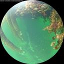 ./images/calvert/underwater/20260711/underwater20260711_084501M.jpg