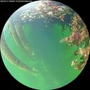 ./images/calvert/underwater/20260711/underwater20260711_104002M.jpg