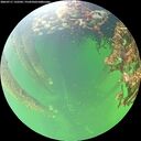 ./images/calvert/underwater/20260711/underwater20260711_132502M.jpg