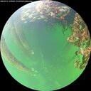 ./images/calvert/underwater/20260711/underwater20260711_133002M.jpg